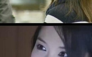海豚湾恋人演员表(电视剧 海豚湾恋人)