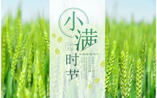 小满养生知识大全集的简单介绍