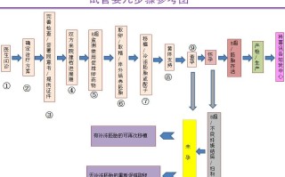 试管婴儿流程及时间安排(试管婴儿流程及时间安排最新)