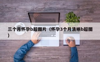 三个月怀孕b超图片（怀孕3个月清晰b超图）