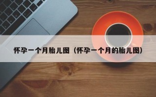 怀孕一个月胎儿图（怀孕一个月的胎儿图）
