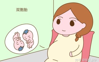 国外双胞胎试管婴儿视频播放(双胞胎试管婴儿费用大约多少2021年)