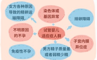 未婚试管婴儿的全部流程视频(未婚试管婴儿的全部流程视频讲解)