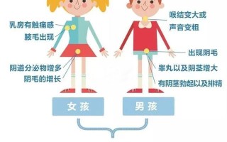 男女生殖过程**图片(男女生生殖系统的结构,功能和作用)