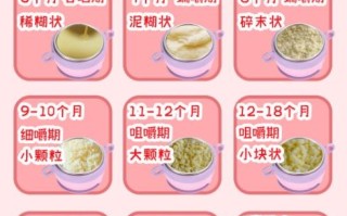 8个月宝宝饮食标准(八个月婴儿饮食安排时间表)