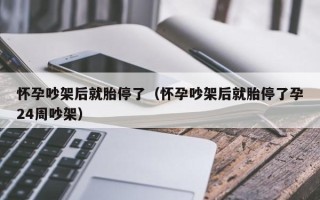 怀孕吵架后就胎停了（怀孕吵架后就胎停了孕24周吵架）