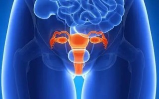 男女性生殖管道均不与腹膜腔相通吗视频的简单介绍