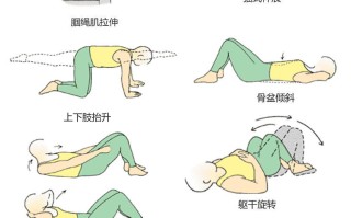 孕妇腰痛缓解动作图片(孕妇腰痛缓解动作图片大全)