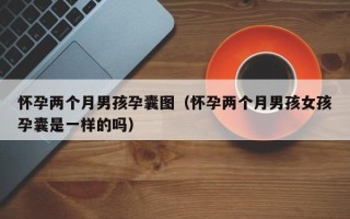 怀孕两个月男孩孕囊图（怀孕两个月男孩女孩孕囊是一样的吗）