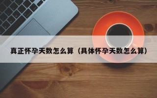 真正怀孕天数怎么算（具体怀孕天数怎么算）