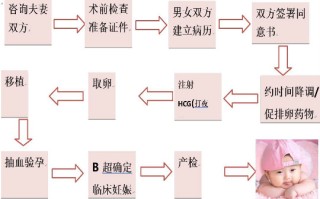 试管婴儿详细的流程步骤怎么做的的简单介绍