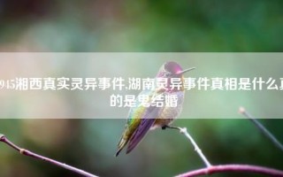 灵异事件故事(灵异事件故事小说真实故事)