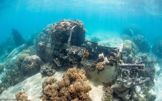 特鲁克泻湖(特鲁克泻湖的幽灵舰队)