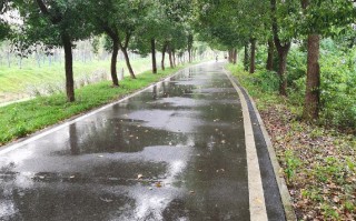 不提雨怎么能描述雨很大(不提雨,怎么描写雨很大 懂吗?)