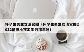 怀孕生男生女清宫图（怀孕生男生女清宫图2022是按小孩出生的那年吗）