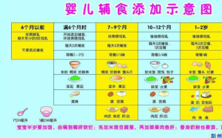 婴儿辅食添加顺序(婴儿辅食添加顺序及做法大全)