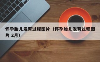 怀孕胎儿发育过程图片（怀孕胎儿发育过程图片 2月）