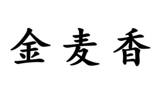 麦香演员表(麦香演员表傅晶个人资料)