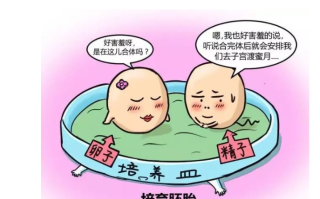 宫腔中度粘连做试管婴儿成功率(中度宫腔粘连试管婴儿成功的有吗)