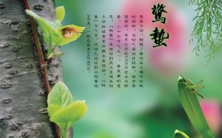 春节节气养生小知识大全图片(春节节气养生小知识大全图片简单)