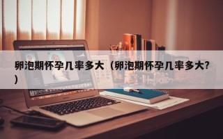 卵泡期怀孕几率多大（卵泡期怀孕几率多大?）