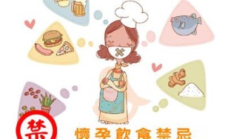 孕初期饮食和注意事项(怀孕初期的饮食注意事项)