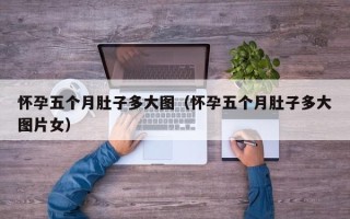 怀孕五个月肚子多大图（怀孕五个月肚子多大图片女）