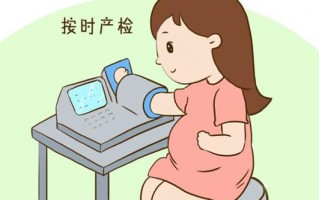 孕期检查项目及费用(孕期检查项目及费用多少)