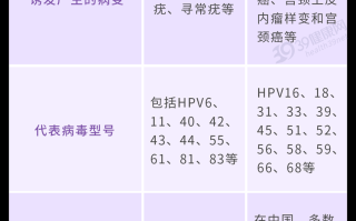 彩超男女生殖器区别图(彩超检查男女准确率是多少)