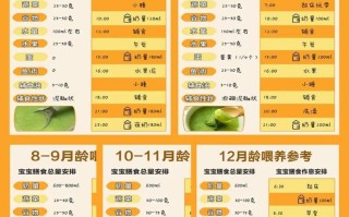 8个宝宝一天饮食安排(8个宝宝一天饮食安排多少)