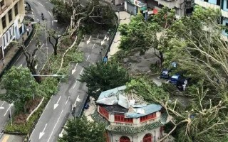 包含台风「泰利」登陆广东湛江，为今年首个登陆我国的台风，随后在广西沿海再次登陆，台风天气哪些事项需要注意？的词条