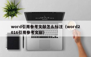 word引用参考文献怎么标注（word2016引用参考文献）