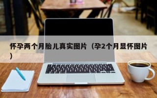 怀孕两个月胎儿真实图片（孕2个月显怀图片）