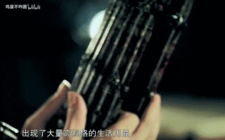 男女生殖器组合挂件(男女生殖系统的组成和各个结构的功能)