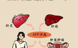 包含又到7月28世界肝炎日，有哪些防护小知识是我们必须知道的？的词条