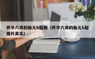 怀孕六周的胎儿b超图（怀孕六周的胎儿b超图片真实）