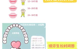 6岁孩子牙齿要做什么护理(六岁以内儿童的牙需要治疗吗)