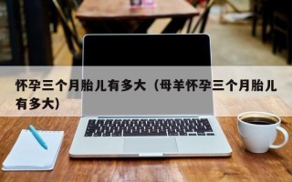 怀孕三个月胎儿有多大（母羊怀孕三个月胎儿有多大）
