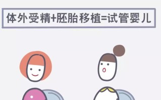 试管婴儿是怎么回事(试管婴儿是怎么回事动画片)