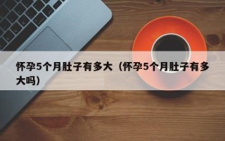 怀孕5个月肚子有多大（怀孕5个月肚子有多大吗）