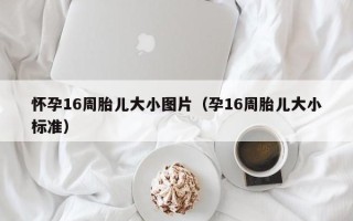 怀孕16周胎儿大小图片（孕16周胎儿大小标准）