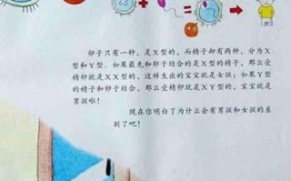 **男女生殖器什么样子的简单介绍