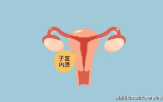 三胎剖腹产后子宫薄还能生四胎吗的简单介绍