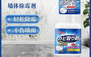 家用清洁品牌(家用清洁品牌排行)