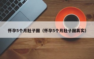 怀孕5个月肚子图（怀孕5个月肚子图真实）