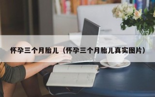 怀孕三个月胎儿（怀孕三个月胎儿真实图片）