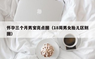 怀孕三个月男宝亮点图（18周男女胎儿区别图）