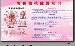 生殖系统的知识的简单介绍