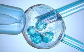 三种女人不能做试管排名医院(女人不能生育做试管婴儿可以吗)