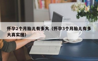 怀孕2个月胎儿有多大（怀孕3个月胎儿有多大真实图）